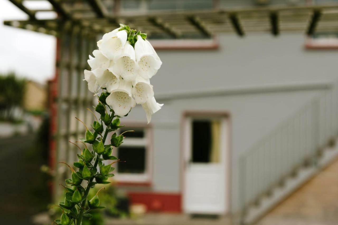 Bed and Breakfast Eagle Heights Інішкрон Екстер'єр фото